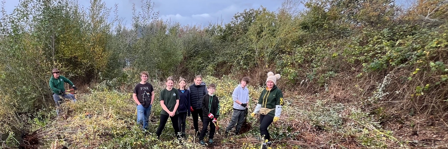 What have we been up to?